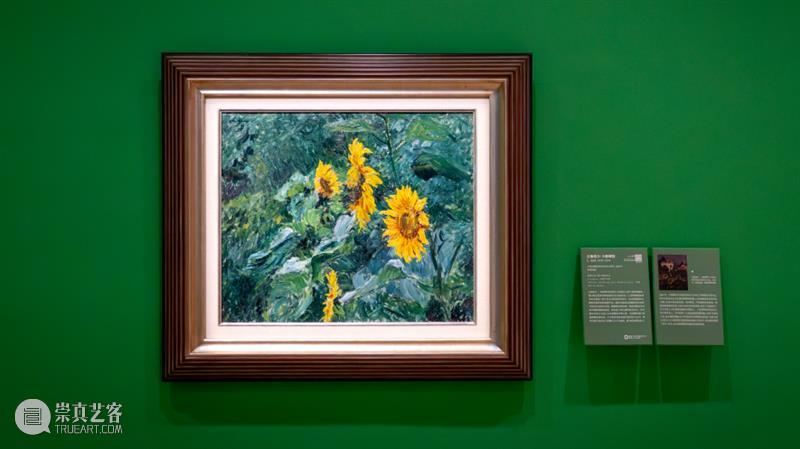 “动静无尽：馆藏花卉主题艺术杰作”展览四大章节叙事全串联！  德基艺术博物馆 崇真艺客