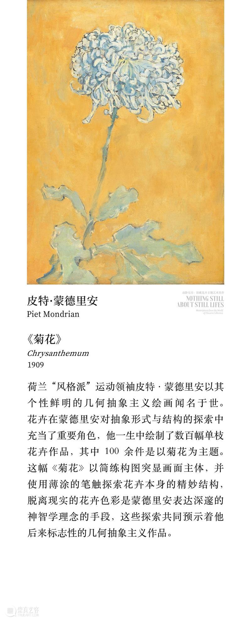 “动静无尽：馆藏花卉主题艺术杰作”展览四大章节叙事全串联！  德基艺术博物馆 崇真艺客