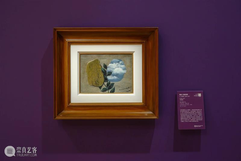 “动静无尽：馆藏花卉主题艺术杰作”展览四大章节叙事全串联！  德基艺术博物馆 崇真艺客