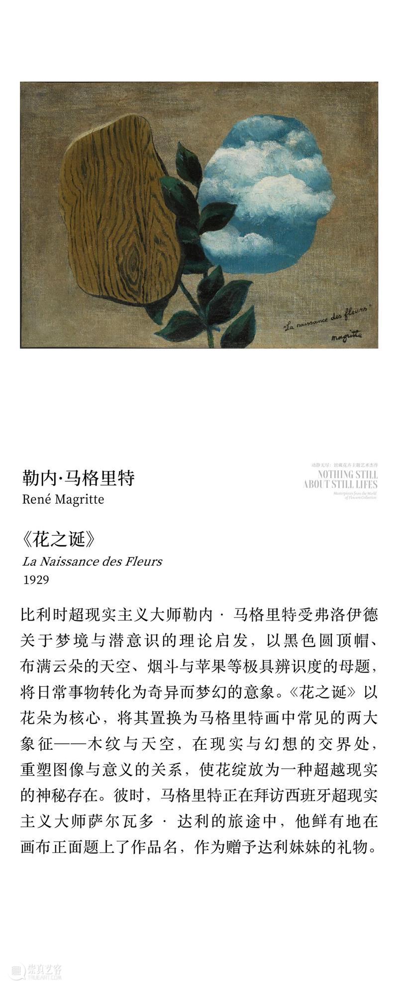 “动静无尽：馆藏花卉主题艺术杰作”展览四大章节叙事全串联！  德基艺术博物馆 崇真艺客