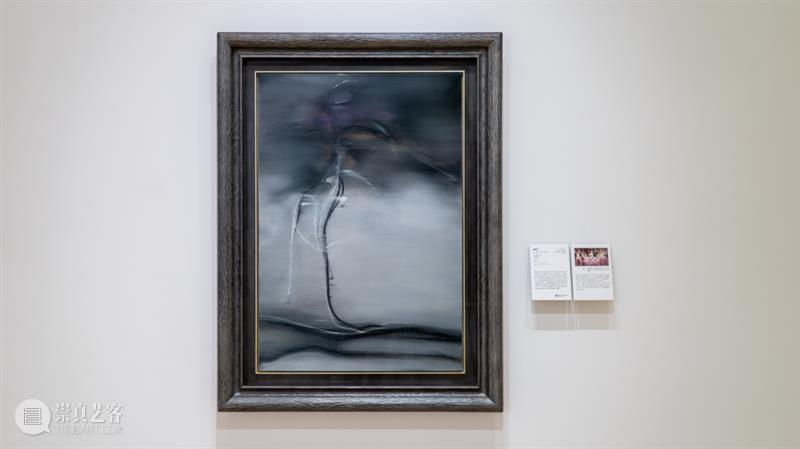 “动静无尽：馆藏花卉主题艺术杰作”展览四大章节叙事全串联！  德基艺术博物馆 崇真艺客