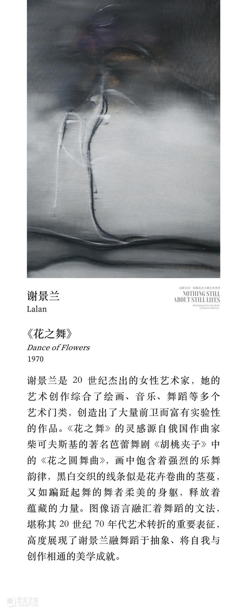 “动静无尽：馆藏花卉主题艺术杰作”展览四大章节叙事全串联！  德基艺术博物馆 崇真艺客