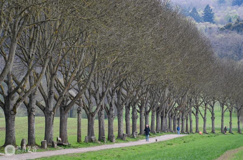 HOW展览 | 「博伊斯在中国：2013-2025回顾展」即将开幕 崇真艺客