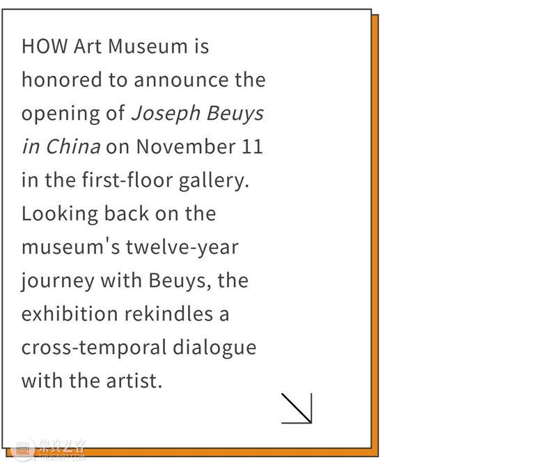 HOW展览 | 「博伊斯在中国：2013-2025回顾展」即将开幕 崇真艺客