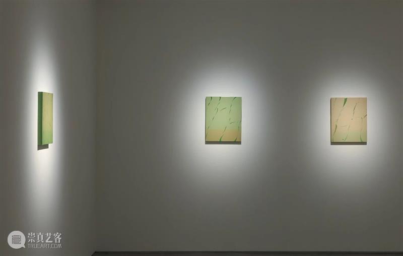 策展文章｜范歆苒：无声之声 崇真艺客