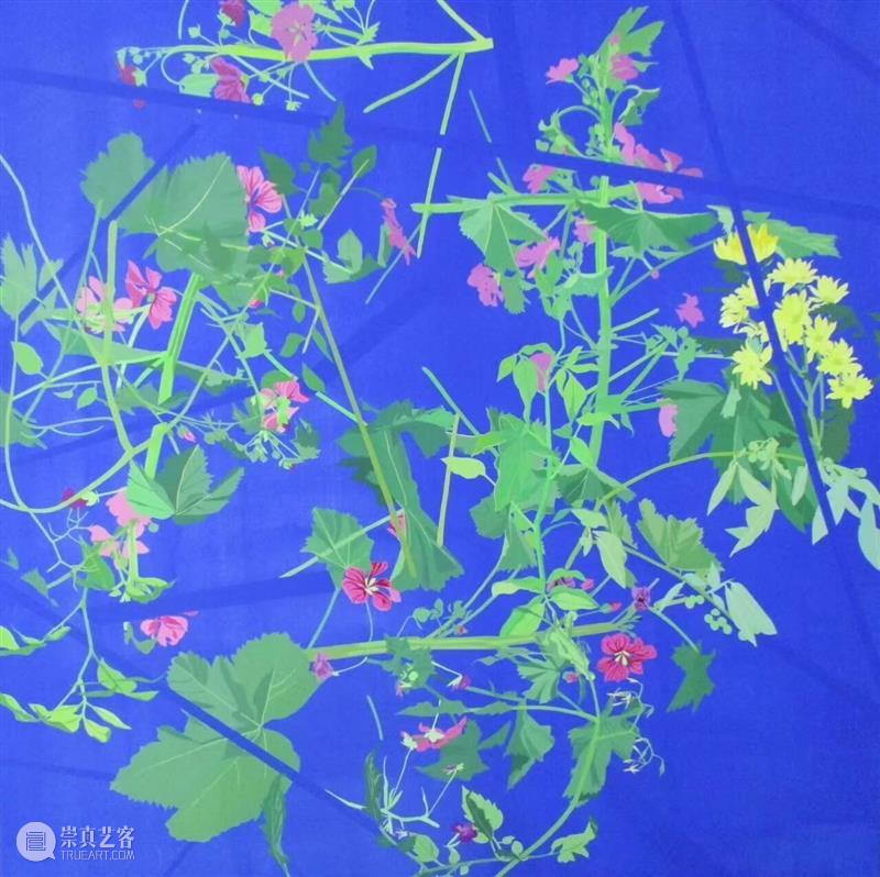 参展艺术家：长谷川纱织、斯特凡诺·加利、王一帆｜宁波当代2025国际画廊周NbC：展位B3 崇真艺客