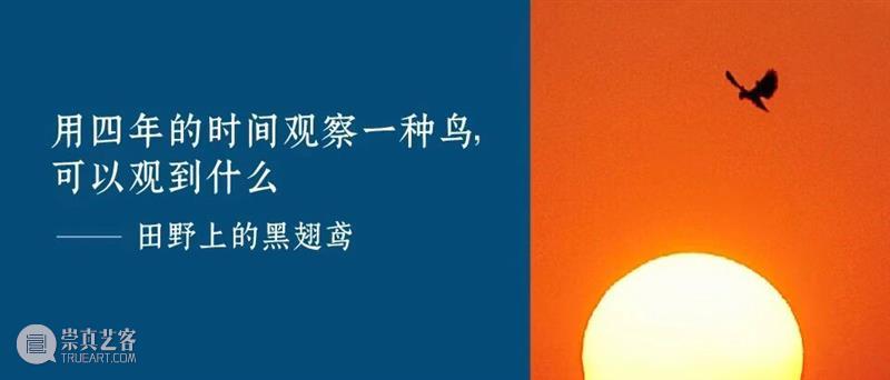 震旦美术馆 |【 A2M 】十一月活动预告 崇真艺客