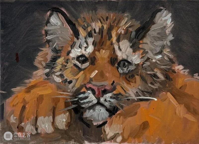 杜梦堂 上海｜查尔斯·哈斯科埃特 Charles HASCO?T 个展「震 Quake」 崇真艺客