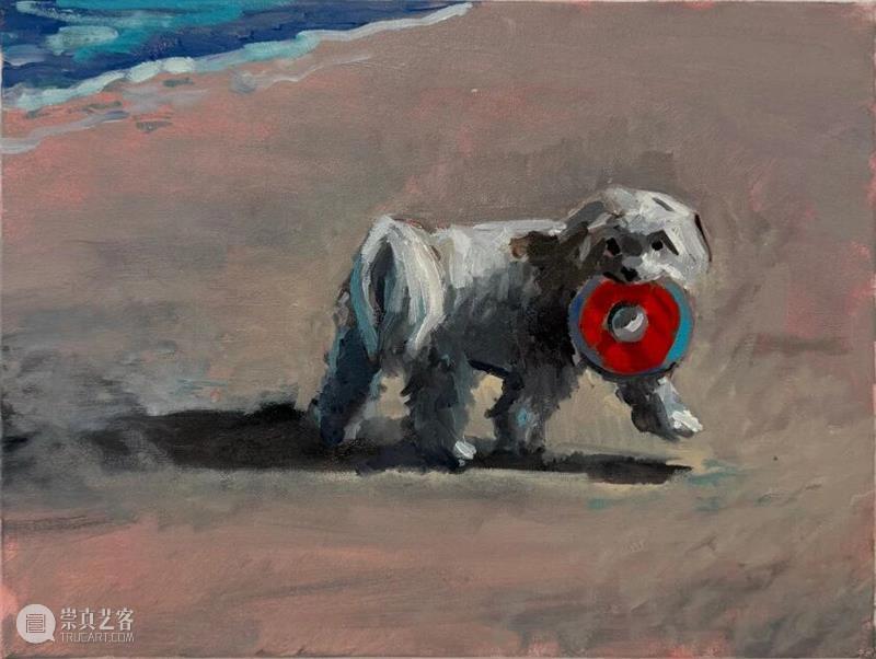 杜梦堂 上海｜查尔斯·哈斯科埃特 Charles HASCO?T 个展「震 Quake」 崇真艺客