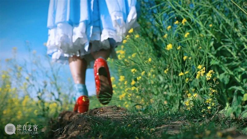 户尔北京 |「种花 Transplanting」艺术家 | 沈靖皓 Shen Jinghao 崇真艺客