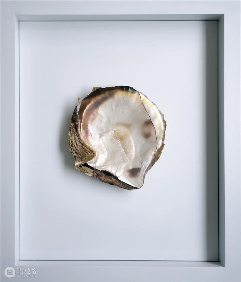 艺博会｜2025 ART021｜香格纳展位C13 崇真艺客