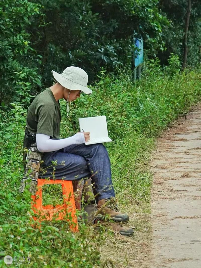 A2M?讲座?| 【博物自然】用四年的时间观察一种鸟，可以观到什么——田野上的黑翅鸢 崇真艺客