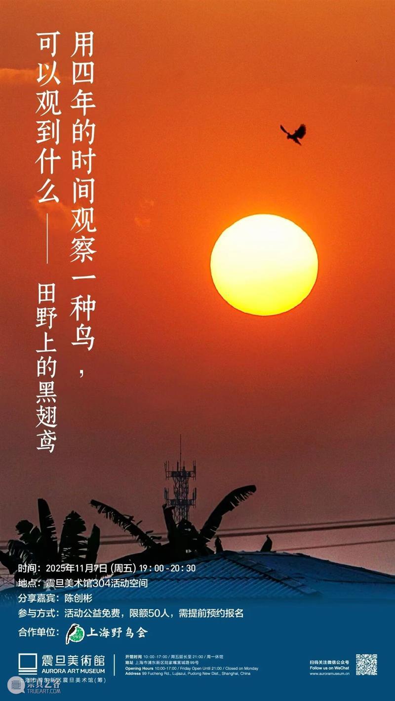 A2M?讲座?| 【博物自然】用四年的时间观察一种鸟，可以观到什么——田野上的黑翅鸢 崇真艺客