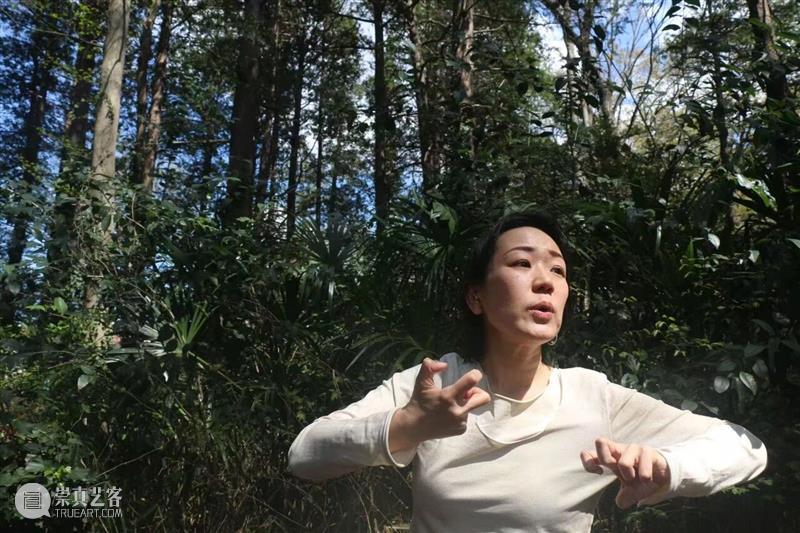 城市项目公布！倾听城市的蜜语与蜂鸣 崇真艺客