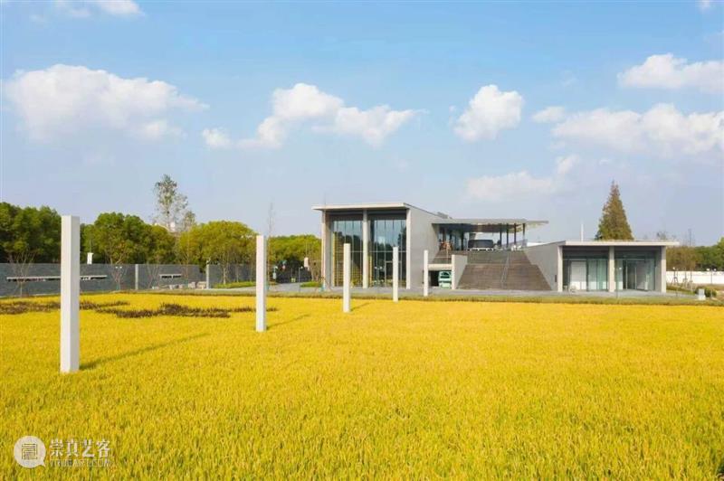 城市项目公布！倾听城市的蜜语与蜂鸣 崇真艺客