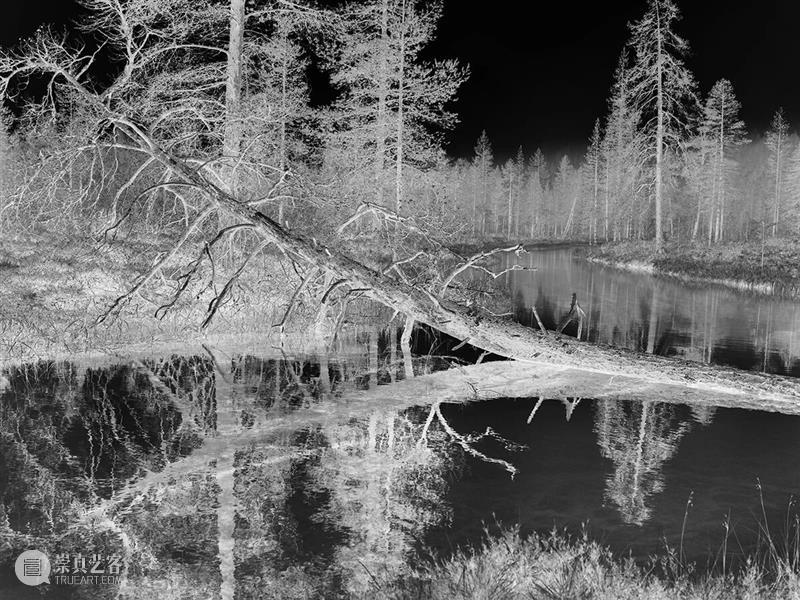 perspective视角单元：上海塞万提斯学院 崇真艺客