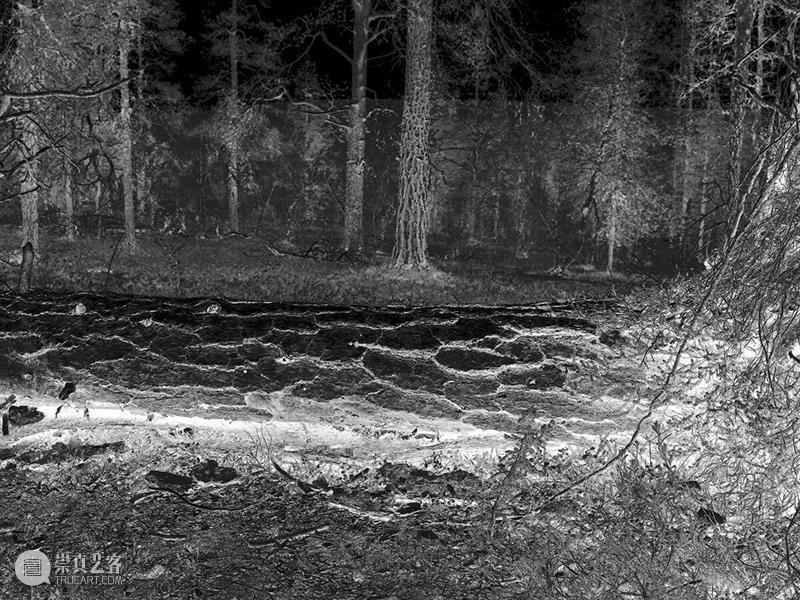 perspective视角单元：上海塞万提斯学院 崇真艺客