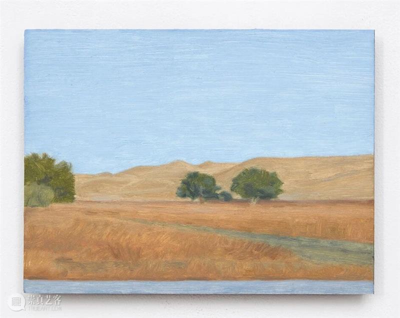 Eleanor Ray / 窗外的“小”世界 崇真艺客