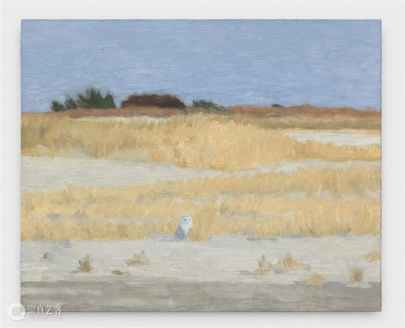 Eleanor Ray / 窗外的“小”世界 崇真艺客