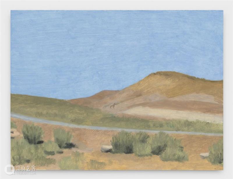 Eleanor Ray / 窗外的“小”世界 崇真艺客