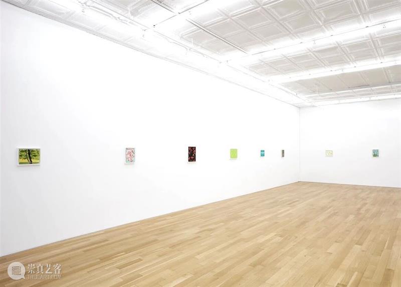 Eleanor Ray / 窗外的“小”世界 崇真艺客