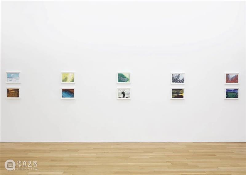 Eleanor Ray / 窗外的“小”世界 崇真艺客