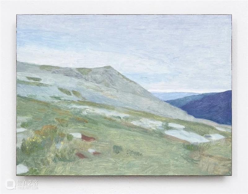 Eleanor Ray / 窗外的“小”世界 崇真艺客