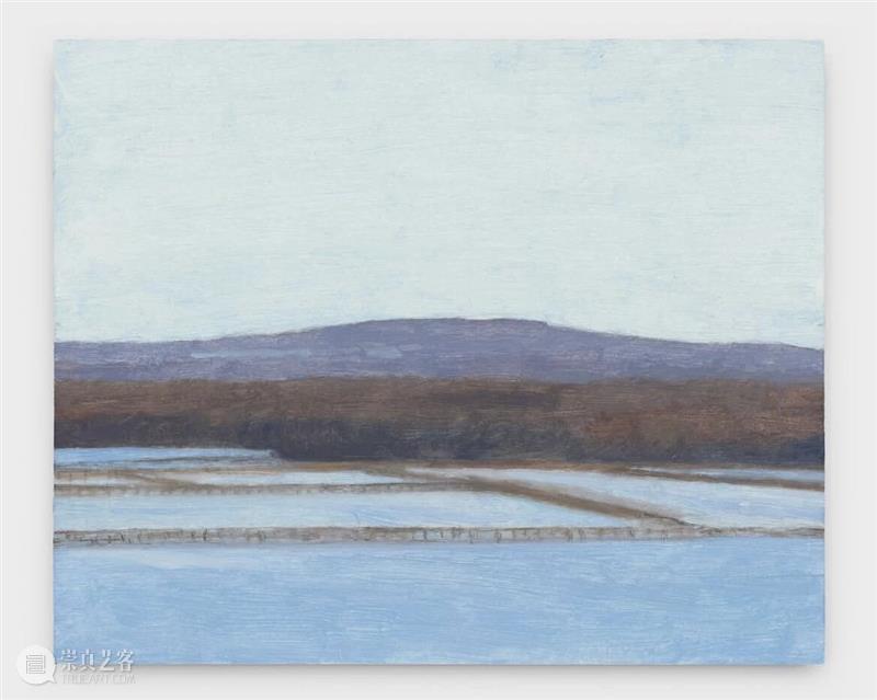 Eleanor Ray / 窗外的“小”世界 崇真艺客