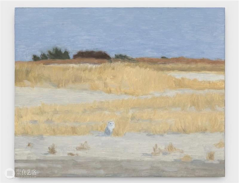 Eleanor Ray / 窗外的“小”世界 崇真艺客