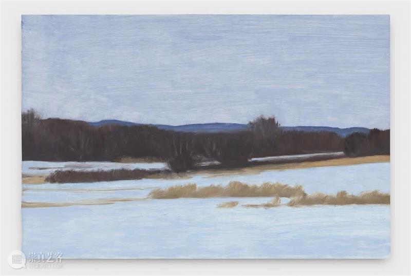 Eleanor Ray / 窗外的“小”世界 崇真艺客