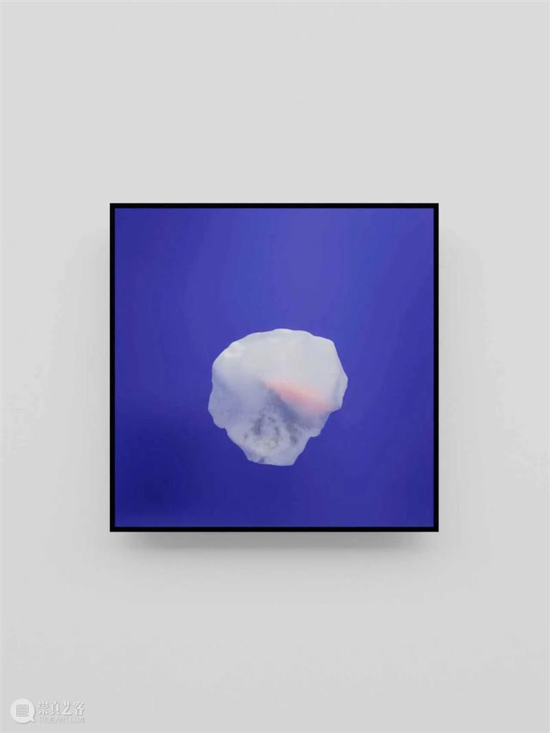 潜海：蓝梦｜施政 崇真艺客