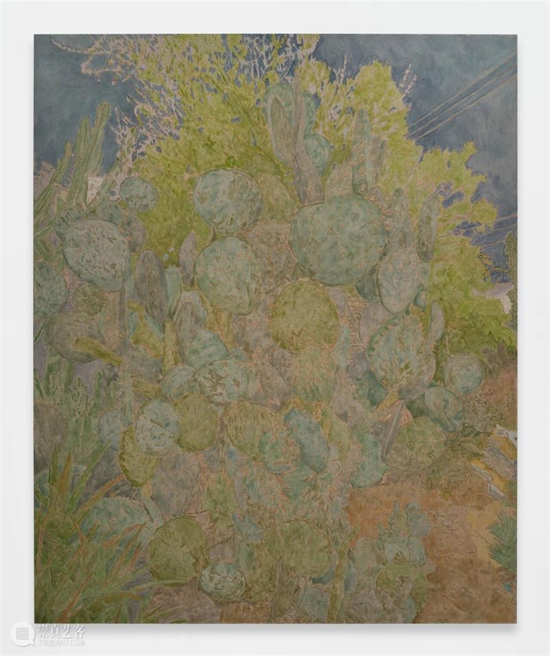 新展｜「Permanent Green 永绿之境」 崇真艺客