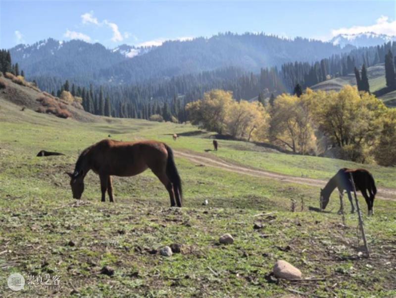 教学回顾︱走进库尔德宁——2025北京画院李江峰导师“油画色彩与写生创作”研学活动 崇真艺客