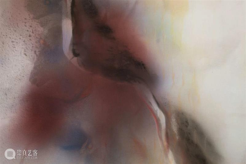 回顾展评｜奥利弗·比尔（Oliver Beer）「共振项目：洞穴」@ 第17届里昂双年展 崇真艺客