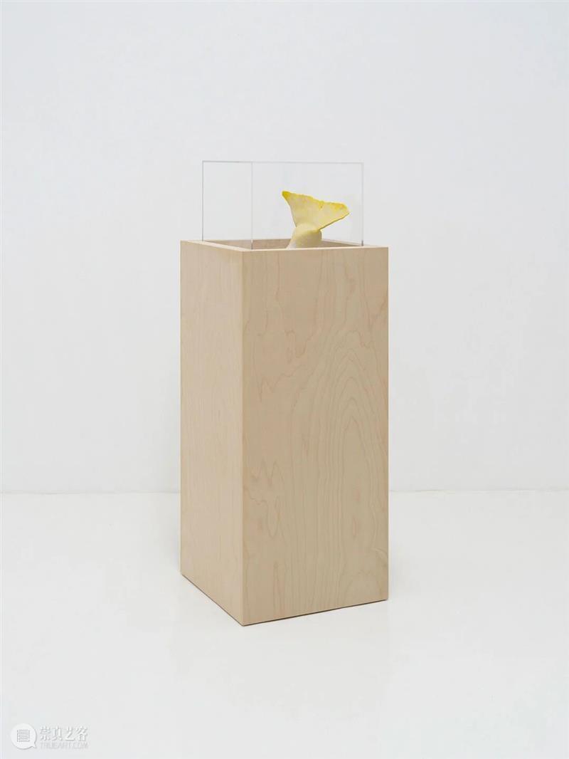 胶囊|张丰渊:无尽诱惑 崇真艺客