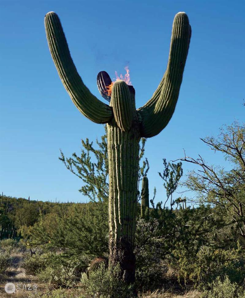 上海双年展开幕活动 | 6场策展人与艺术家圆桌讨论开放公众预约！ 崇真艺客