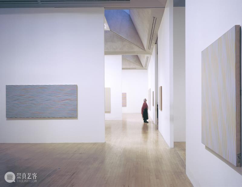 布里奇特·赖利_协奏曲｜国家美术·关注 崇真艺客