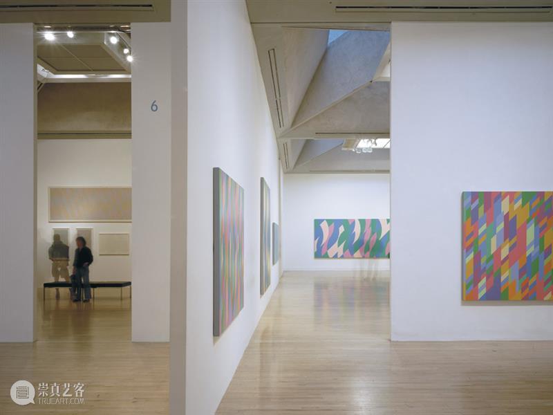 布里奇特·赖利_协奏曲｜国家美术·关注 崇真艺客