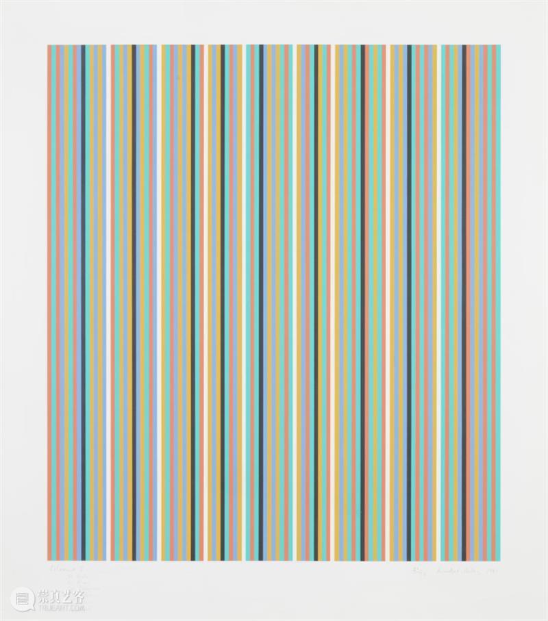 布里奇特·赖利_协奏曲｜国家美术·关注 崇真艺客