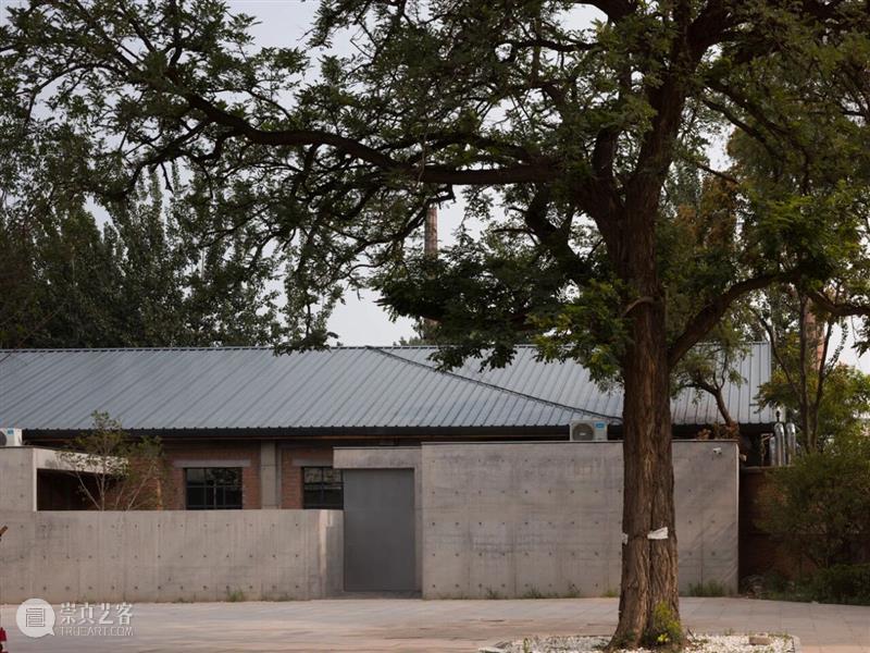 画廊单元亮点作品 Highlight Artworks：#-B 崇真艺客