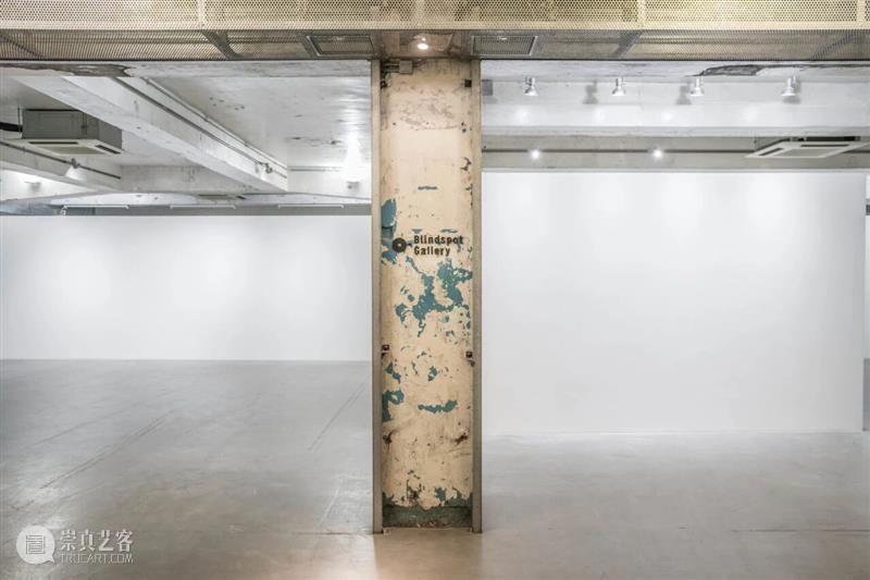 画廊单元亮点作品 Highlight Artworks：#-B 崇真艺客