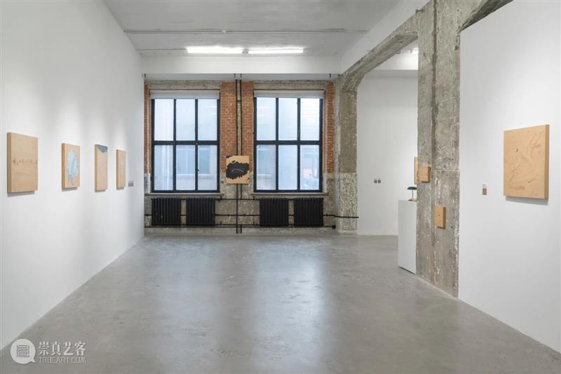 画廊单元亮点作品 Highlight Artworks：#-B 崇真艺客