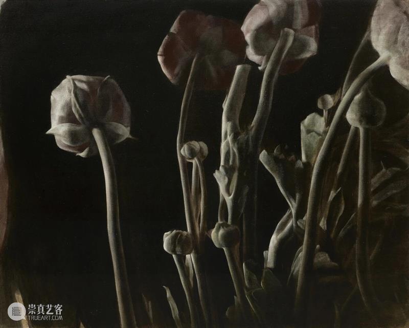 M艺术空间展览 | 56号展位 Booth M56 崇真艺客