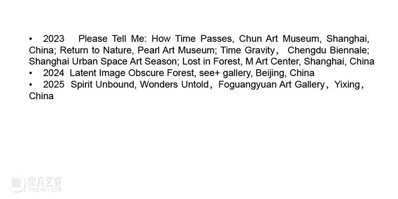 M艺术空间展览 | 56号展位 Booth M56 崇真艺客