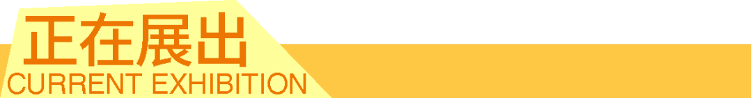 活动招募 | 798 · windKIDS一日研学之旅 崇真艺客