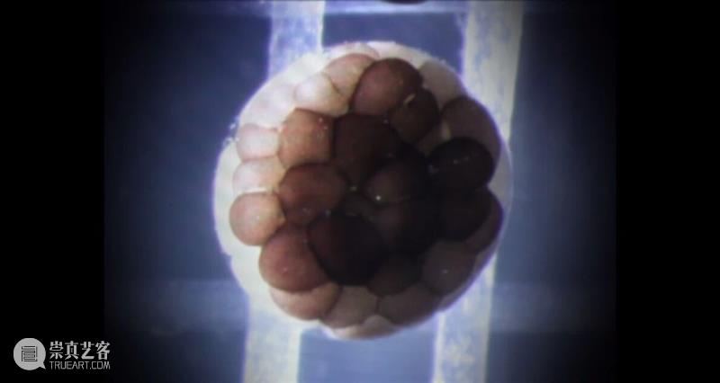 艺博会|香格纳多位艺术家作品参展xiàn ch?ng & 影像单元|西岸艺术与设计博览会 崇真艺客