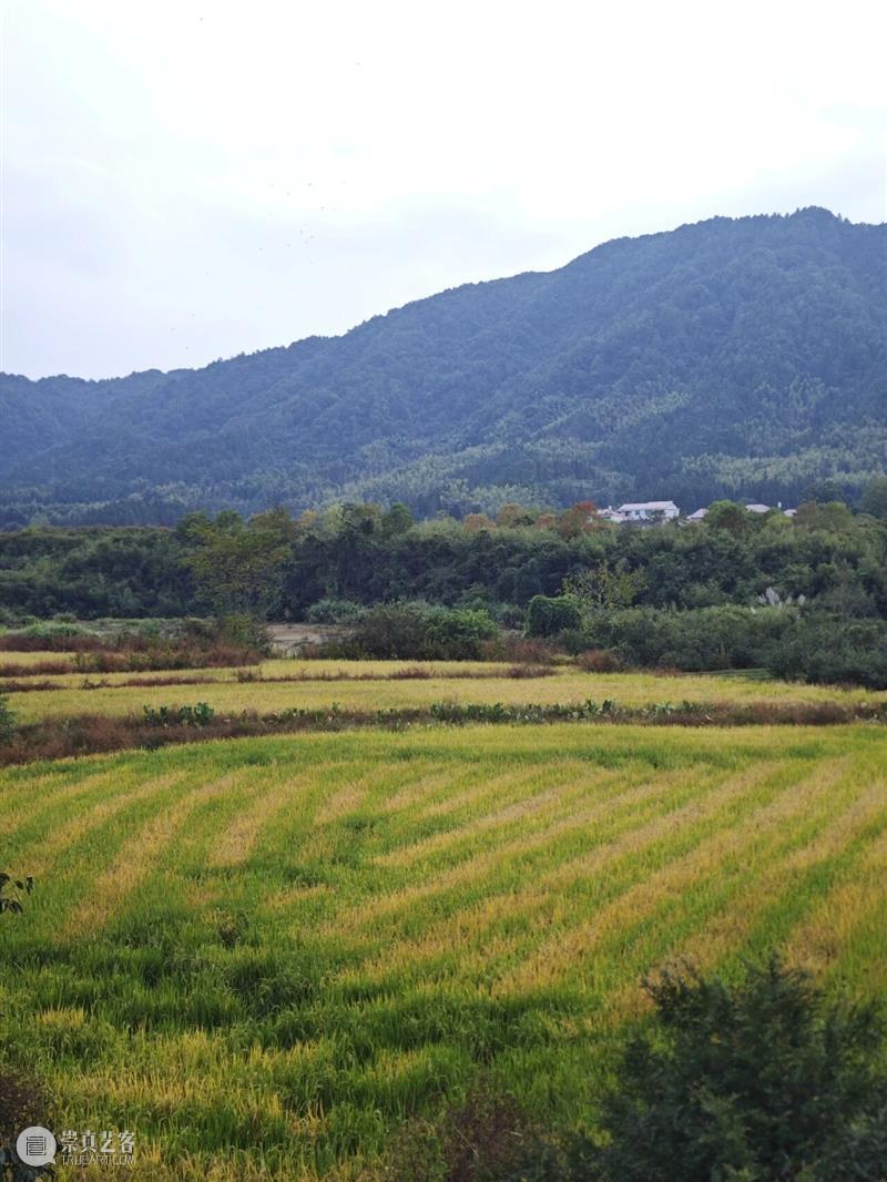 寒溪村秋语过半，共酿冬日！ 崇真艺客