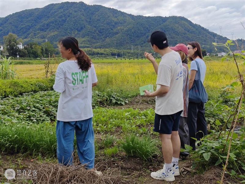 寒溪村秋语过半，共酿冬日！ 崇真艺客