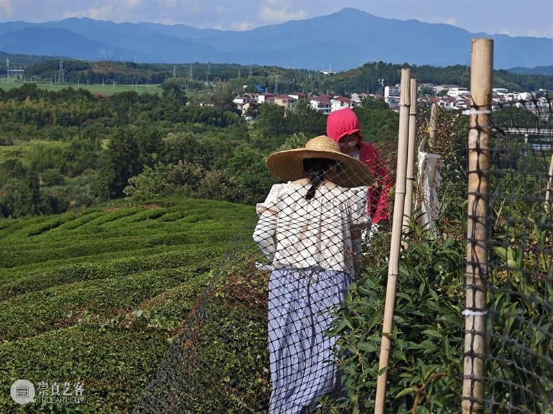 寒溪村秋语过半，共酿冬日！ 崇真艺客