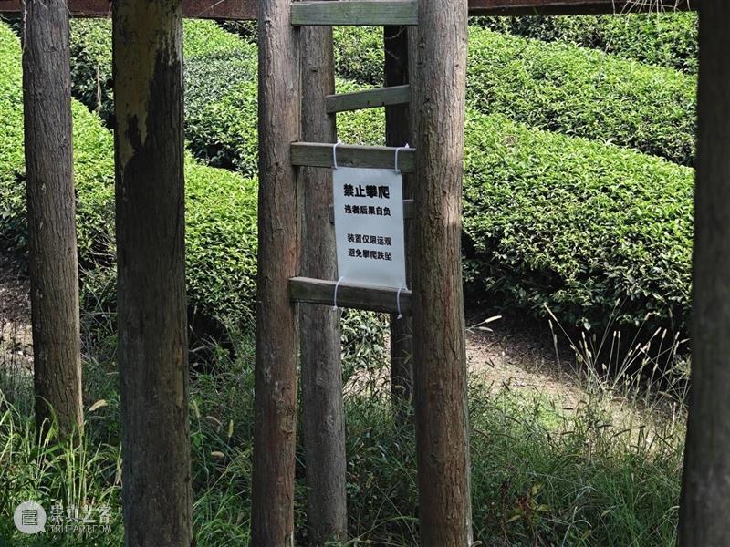 寒溪村秋语过半，共酿冬日！ 崇真艺客